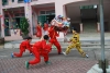 VUI TẾT TRUNG THU