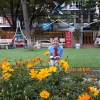 Cô bạn đáng yêu